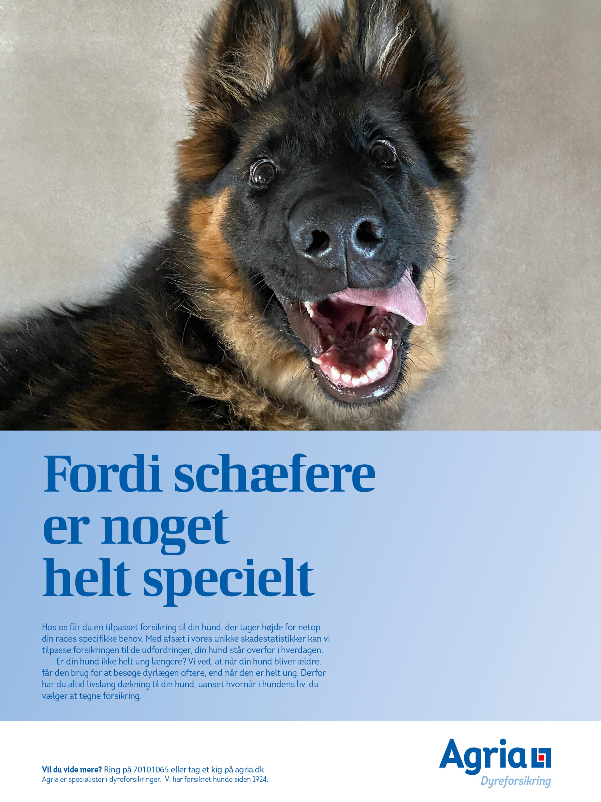 Wildfred er blevet Agria model!