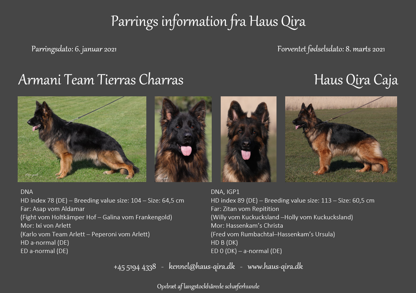 Haus Qira Caja er parret med Armani Team Tierras Charras